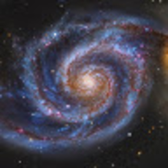 Meet your Posher, Elizabeth - Picture 1 of 1